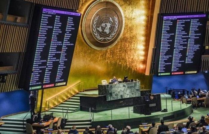 واشنطن تدرس فرض قيود على وفود أممية بينها إيران وفلسطين والبرازيل