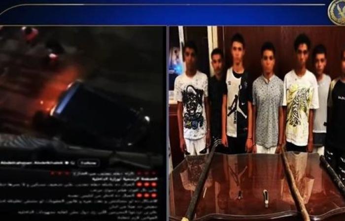 الأمن يكشف ملابسات فيديو دهس كلب بالمعادى والقبض على المتهمين