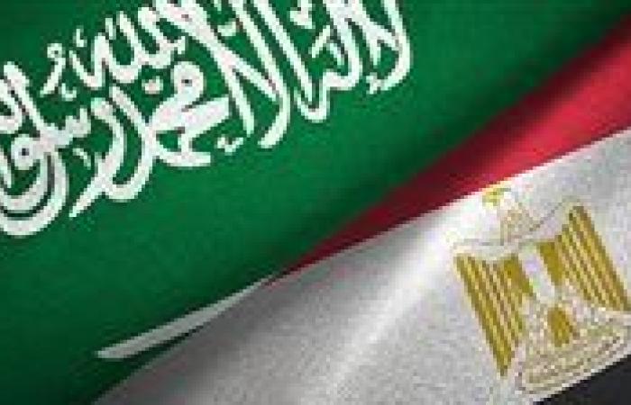عاجل| السعودية تندد بتصريحات نتنياهو بشأن تهجير الفلسطينيين وتؤكد دعمها لمصر