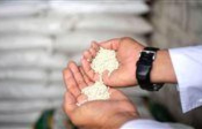 طفرة في صادرات الأسمدة والصناعات الكيماوية