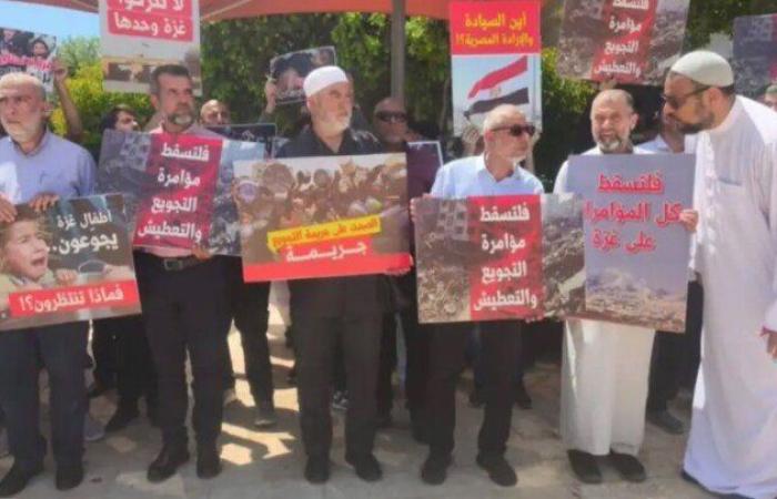 برلماني سابق: المصريون على قلب رجل واحد في مواجهة محاولات إثارة الفتن