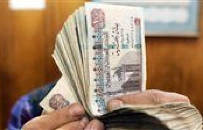 شهادة الادخار الرباعية.. فخ استثماري أم طوق نجاة للمدخرين؟