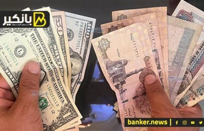 الجنيه هيفضل قوي وأزمة الدولار انتهت.. 3 أسباب تخليك مطمئن على مستقبل العملة المصرية