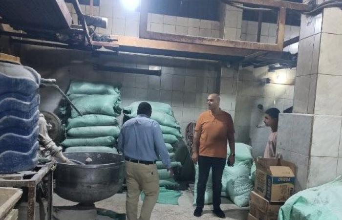 ضبط 600 كجم دقيق مدعم و29 محضر مخالفات بقلين بكفر الشيخ
