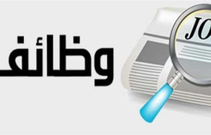 عاجل.. وظائف جديدة للشباب بمرتبات تصل لـ12 ألف جنيه.. تعرف على التخصصات المطلوبة