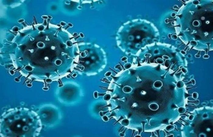 قتل 20 شخصًا حتى الآن.. وباء غامض يجتاح قرية هندية