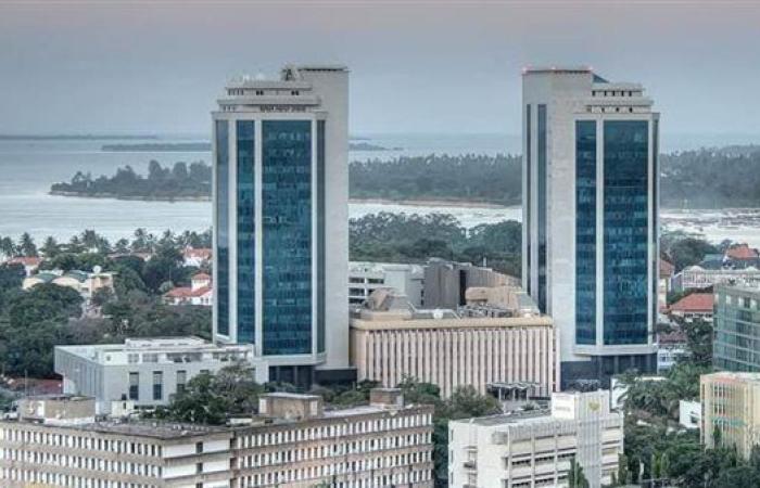 ديون تنزانيا تسجل رقمًا قياسيًا والحكومة تؤكد استدامتها