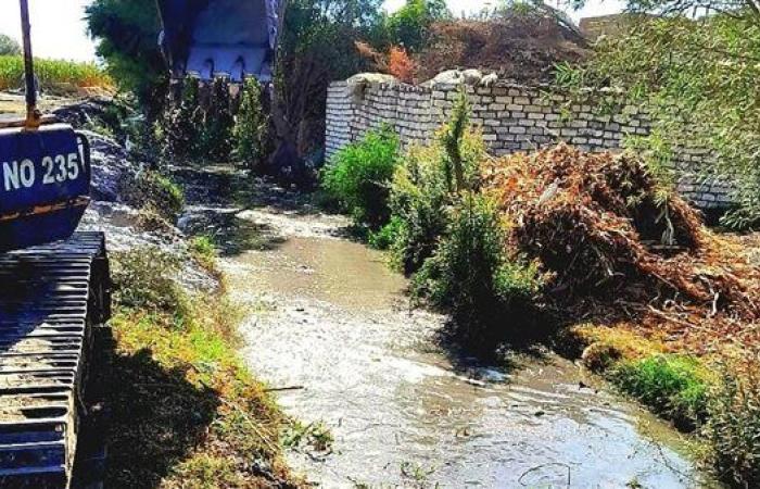 مديرية الزراعة بالإسماعيلية تواصل حملات تطهير المراوي والمصارف بالقصاصين