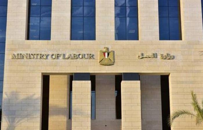 وظائف بمرتبات مجزية في القاهرة.. وزارة العمل تعلن عن فرص عمل جديدة تصل إلى 12 ألف جنيه