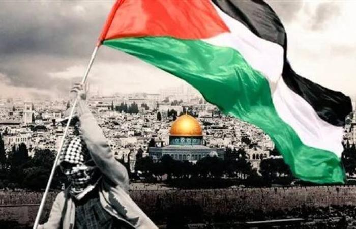 برلماني بلجيكي: بروكسل ستعترف بدولة فلسطين لدعم حقوق شعبها ووقف الانتهاكات