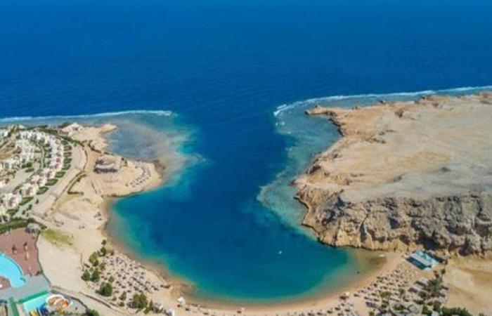 عضو التطوير العقاري: البحر الأحمر لم يعد وجهة ...