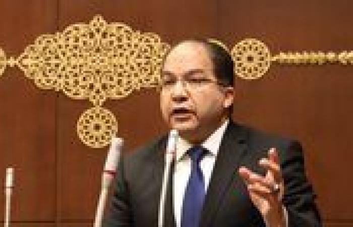 النائب عادل اللمعي: تصريحات تهجير الفلسطينيين عبر معبر رفح تكشف نوايا الاحتلال وتؤجج التصاعد بالمنطقة