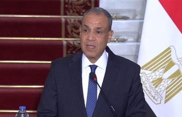 وزير الخارجية: الأولوية الأولى والقصوى وقف إطلاق النار في غزة