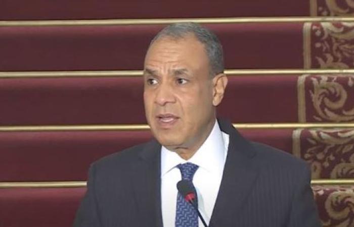 عبد العاطي: مصر ترفض أي محاولات لعرقلة جهود الأونروا وتتمسك بحل الدولتين