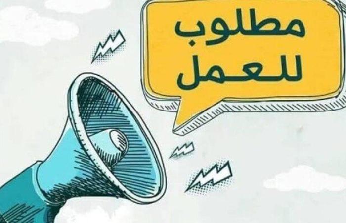 وظائف هيئة تنمية الصعيد 2025.. طريقة التقديم والتخصصات والأوراق المطلوبة
