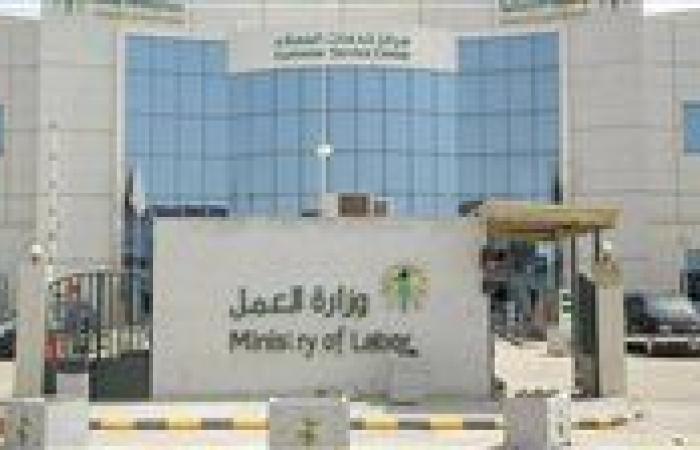 وزارة العمل تعلن عن 4007 وظيفة جديدة برواتب مجزية في 8 محافظات