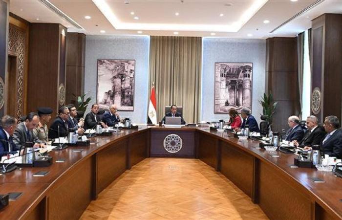 مدبولي: لدينا خطة لزيادة حجم أسطول الطيران بنحو 30% خلال الفترة المقبلة
