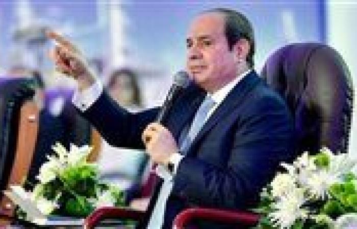 بعد تصديق الرئيس..تعرف على شروط الترشح لمنصب نقيب التكنولوجيين