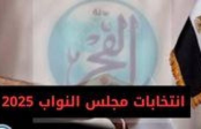 لكل المرشحين.. خريطة الجدول الزمني لانتخابات مجلس النواب وحصص الأحزاب في القائمة (تفاصيل)