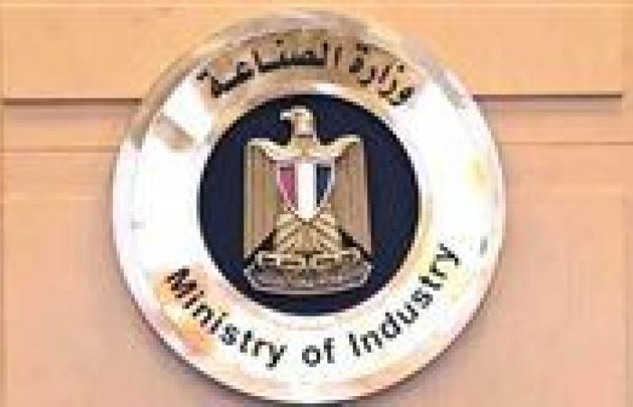 حقيقة إلغاء بروتوكول الشحن الصيني الخاص بالسيارات الكهربائية.. الصناعة تكشف