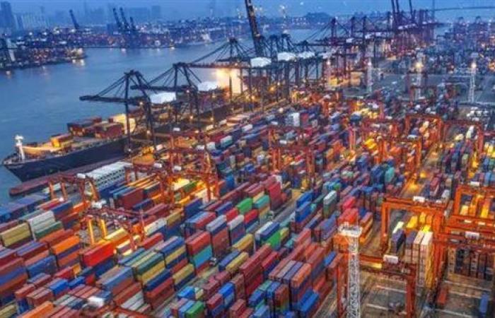 السمدوني: تطوير الموانئ يعزز جذب المستثمرين ويدعم تحول مصر إلى مركز لوجستي إقليمي