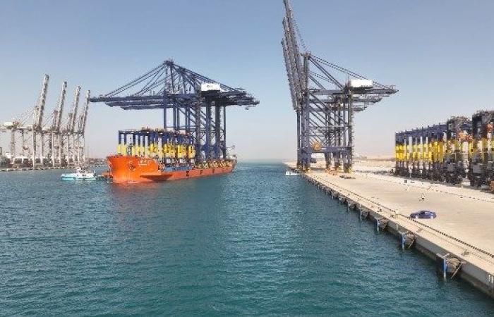وزير الصناعة والنقل: استقبال 3 أوناش رصيف و6 أوناش ساحة بميناء السخنة ضمن استكمال تجهيز محطة هاتشيسون 1