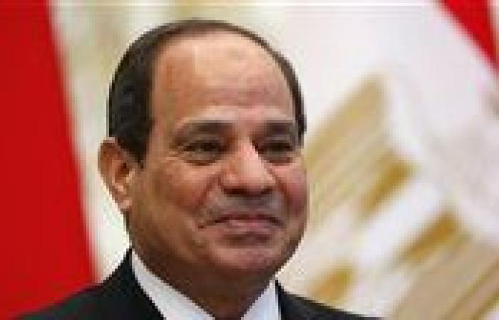 الرئيس السيسي يبحث سبل تعزيز الشراكة بين مصر والولايات المتحدة