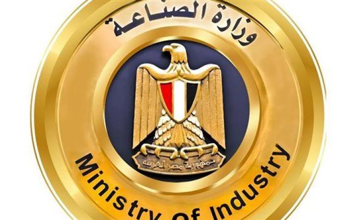 الصناعة تنفي إلغاء بروتوكول الشحن الصيني الخاص بالسيارات الكهربائية