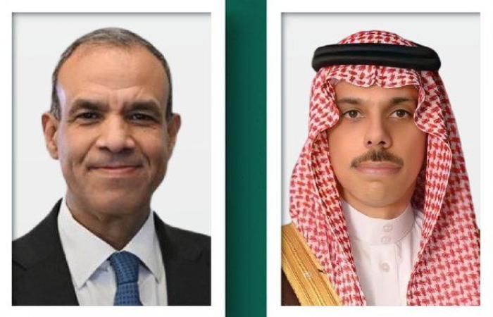 هاتفياً.. مصر والسعودية تبحثان تداعيات الهجوم الإسرائيلي السافر على قطر