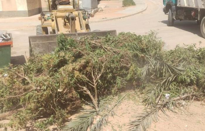 رئيس جهاز العاشر  يتابع جهود رفع المخلفات وتحسين المشهد الحضاري بالمدينة