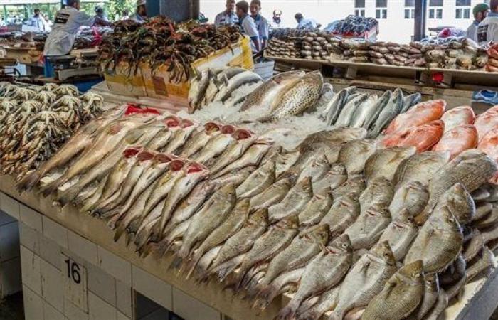 البلطي بـ 81 جنيها.. أسعار الأسماك بسوق العبور اليوم الثلاثاء 9 سبتمبر 2025