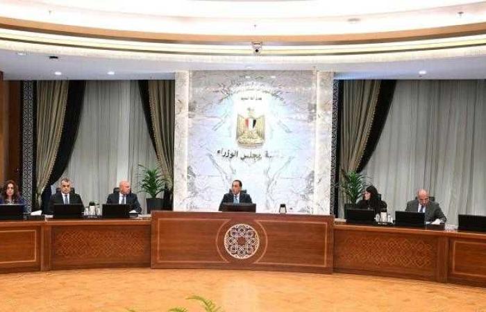 رئيس الوزراء يترأس اجتماع المجلس الأعلى للطاقة