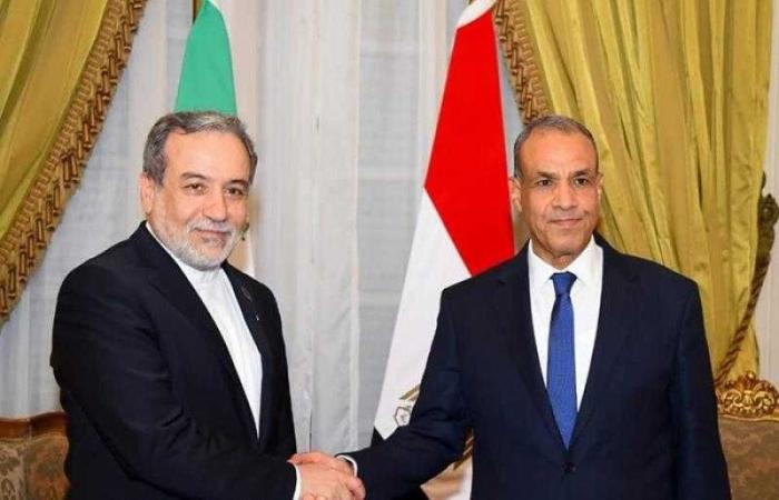 وزير الخارجية يستقبل نظيره الإيراني بالقاهرة