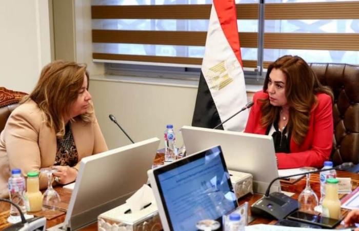 وزيرة التنمية المحلية تبحث تعميم الخدمات التمويلية والتأمينية بالمحافظات