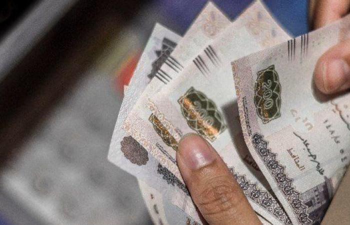 رسميا.. صرف حافز تدريس للمعلمين بقيمة ألف جنيه شهريًا بداية العام الدراسي الجديد.. التعليم تعلن التفاصيل كاملة