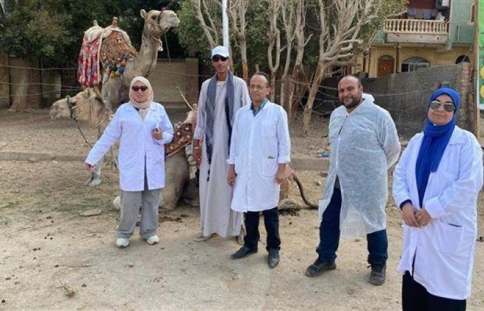 محافظة الجيزة: قافلة علاجية مجانية للخيول والإبل بالمنطقة الأثرية بالأهرامات