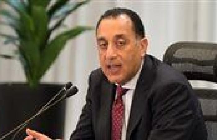 الحكومة تنقل تبعية ميناء أبو طرطور لتعزيز قدرات مصر اللوجستية
