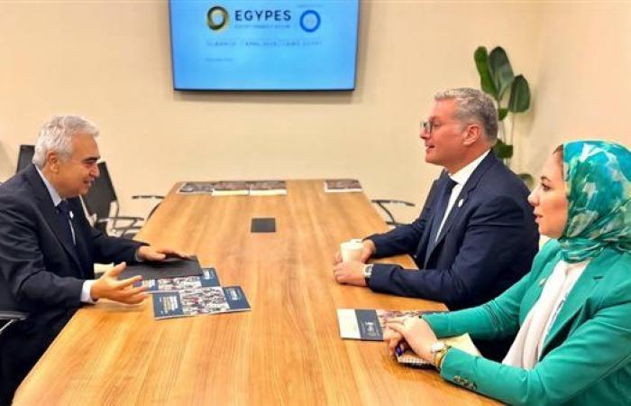 وزير البترول يبحث تعزيز التعاون مع المدير التنفيذي لوكالة الطاقة الدولية