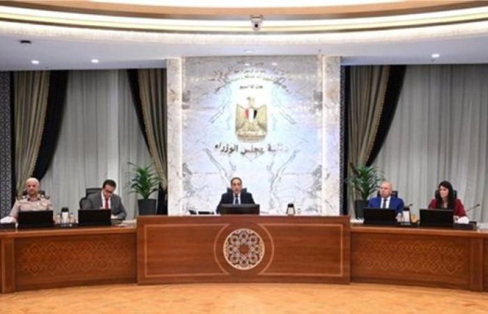 الحكومة: مد فترة توفيق أوضاع الأجانب بنظام المستضيف لعام إضافي حتى سبتمبر 2026