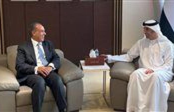 وزير الخارجية يبحث تعزيز التعاون الإقتصادى بين مصر والإمارات