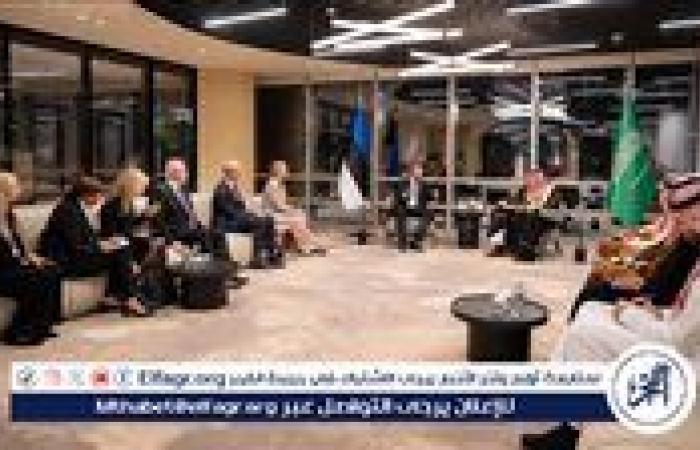 وزير الاقتصاد والتخطيط يبحث مع وزير الخارجية الإستوني تعزيز التعاون الثنائي بين البلدين