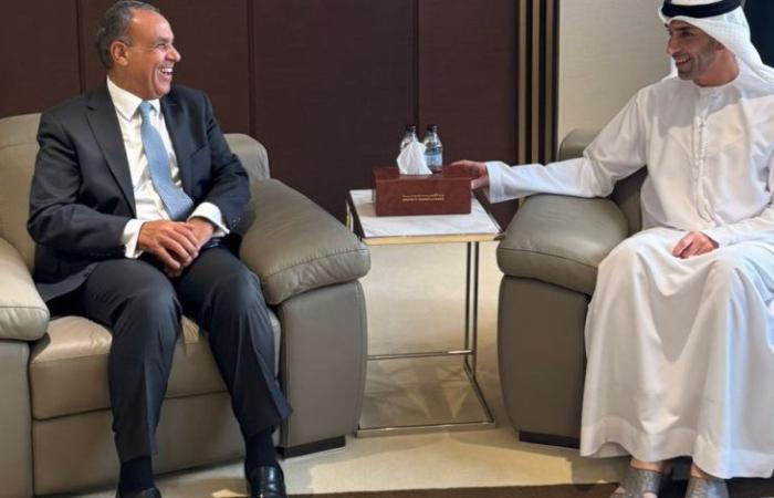 وزير الخارجية يلتقي وزير التجارة الخارجية بدولة الإمارات العربية المتحدة