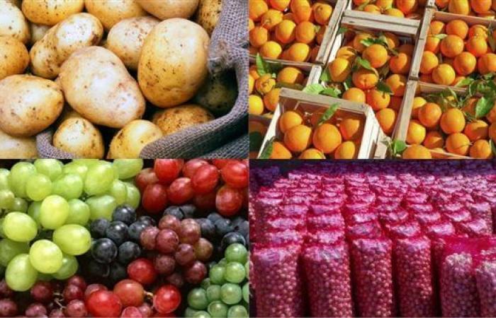 مصر هتأكل العالم.. هنحقق 140 مليار دولار من الصادرات الزراعية