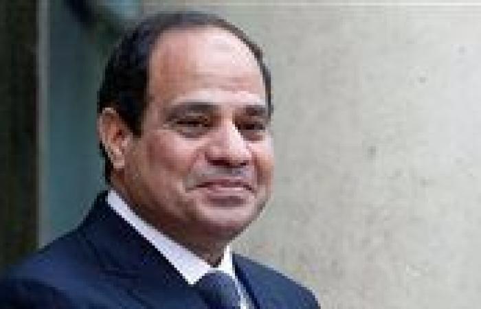 السيسي يوافق على إتفاقية تمويلية مع ألمانيا بقيمة 103.5 مليون يورو