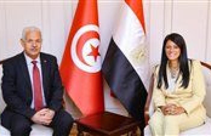 434.5 مليون دولار حجم الصادرات المصرية إلى تونس في 2024