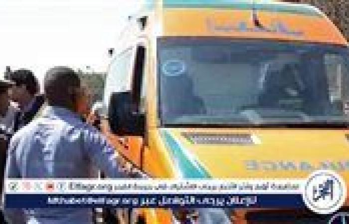 العثور على طفل حديث الولادة على الطريق الدائري بمحافظة الفيوم
