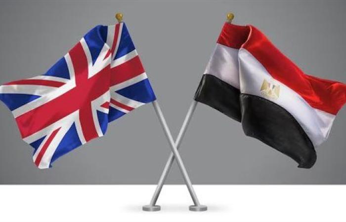 مصر وبريطانيا تؤكدان ضرورة التوصل لوقف فوري لإطلاق النار وضمان دخول المساعدات إلى غزة