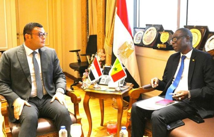 وزير الإسكان يستقبل سفير جمهورية السنغال في القاهرة لبحث سُبل تعزيز التعاون فى مجال الإسكان والتنمية العمرانية