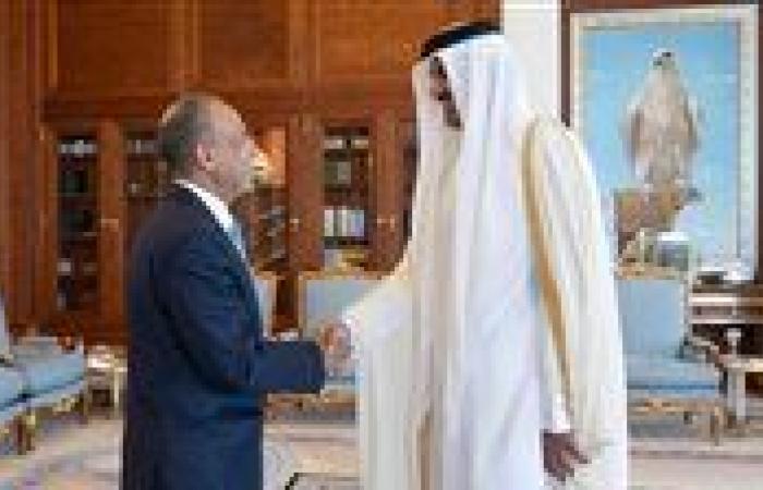 «رسالة من السيسي».. تفاصيل لقاء وزير الخارجية مع أمير قطر في الدوحة
