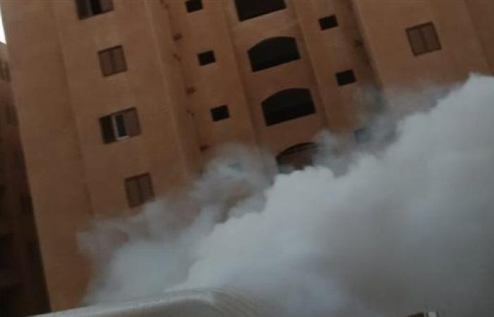 حملات مكثفة لرش الناموس والحشرات بالحيين 11 و12 في العاشر من رمضان